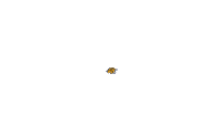 Gif animé lion logo